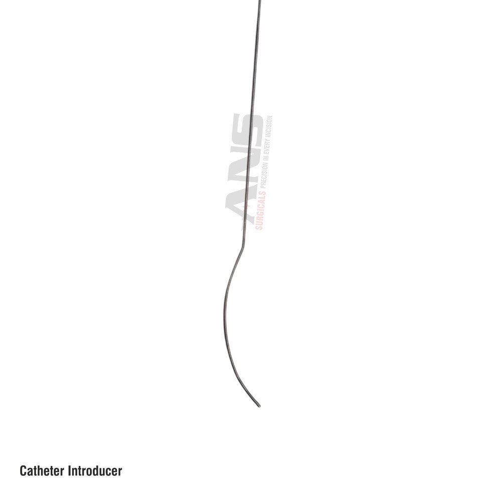 ANS Catheter Introducer