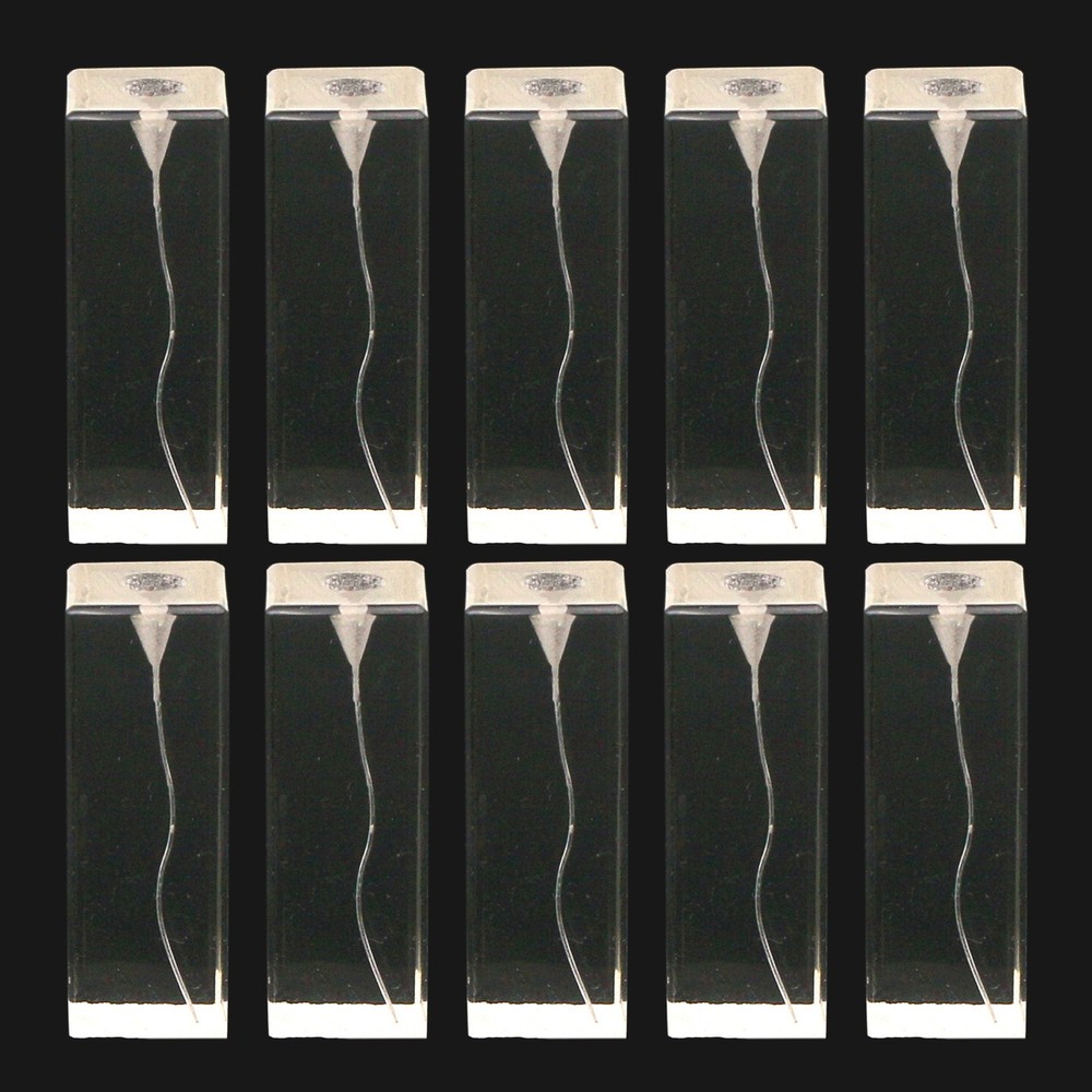 10Pcs Dental Endo Root Canal Teeth Models Practice Block RCT Pulp Cavity Study