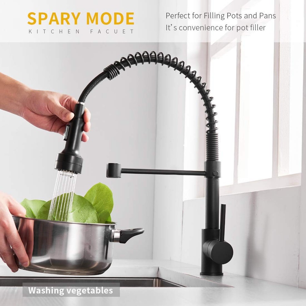 Kitchen Faucet with Sprayer, Modern Single Handle Pull Down Sprayer Spring Ma...