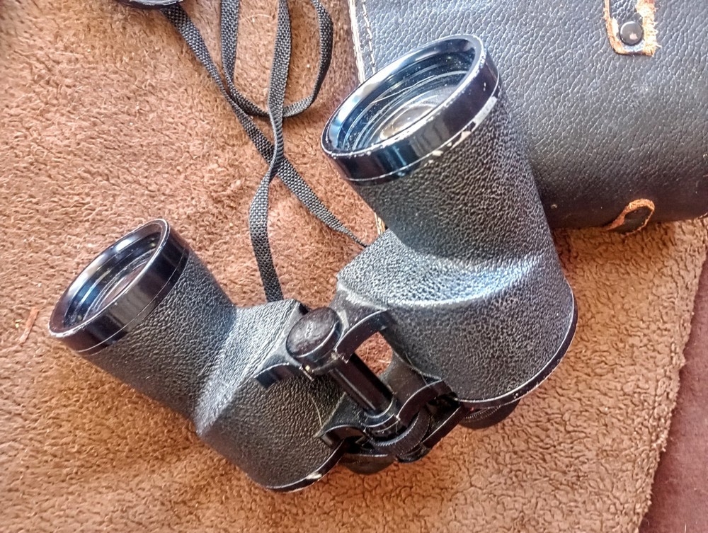 6281 Sears Binoculars