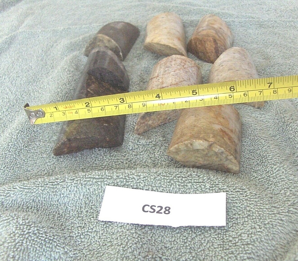 Split Core Samples From Alaska Gold Mine 7 Pieces CS28