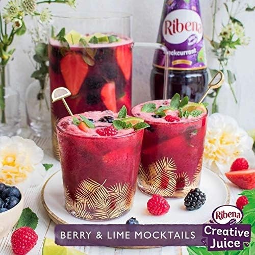 Blackcurrant Nectar, 4 Bottles, 33.8 oz Each