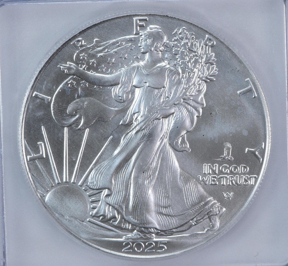 2025 (P) American Silver Eagle Eagle Privy MS70 ICG