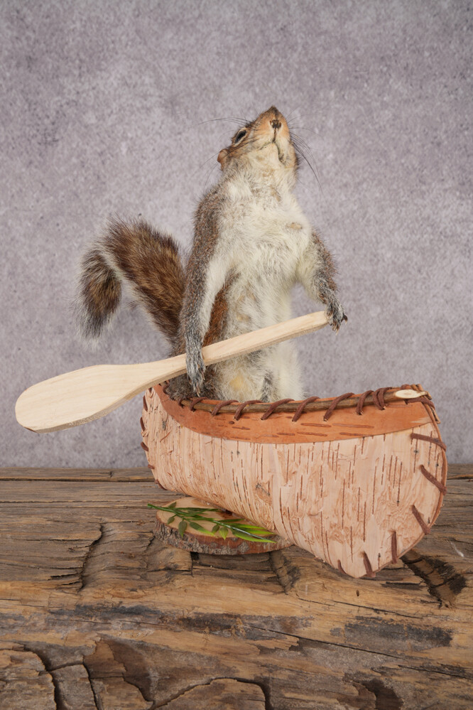 Squirrel in a Canoe SKU 3047