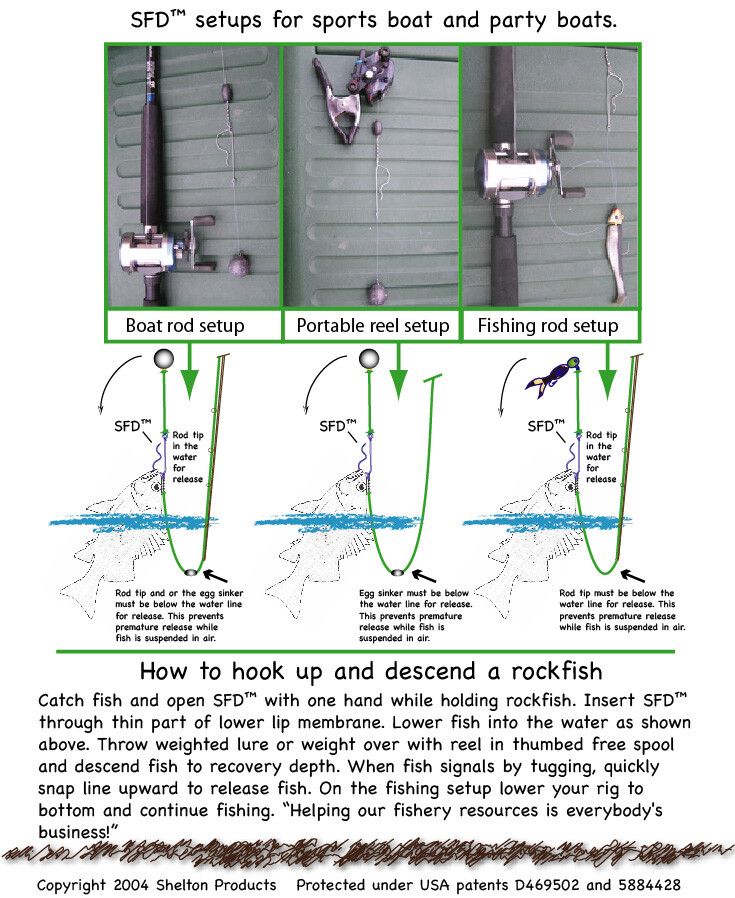 Shelton Fish Descender™