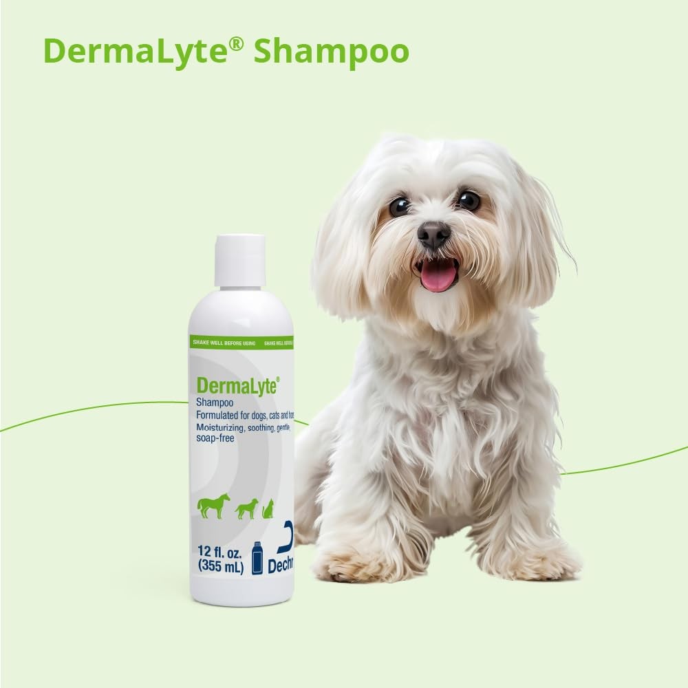 Shampoo, 12 Ounce