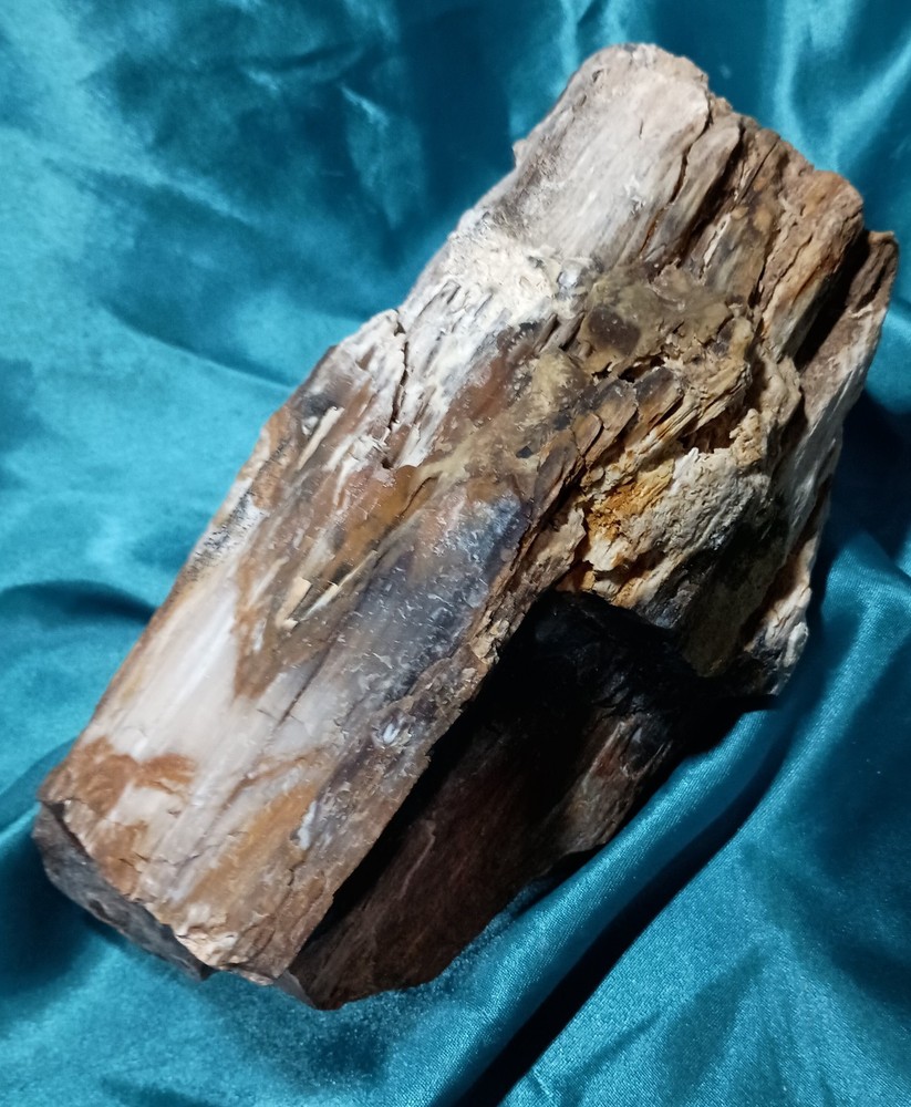 Opalized Petrified Wood Display Specimen WA State 4 LBS 9 OZ