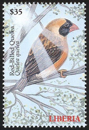 Liberia 2000 MNH, Birds, Red-billed Quelea (Quelea quelea)