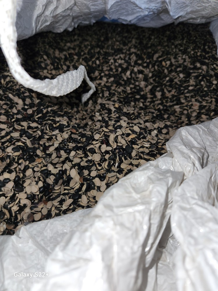 Bulk Black split beans Urad Dal) Baking Nut & Seed Pantry Beans