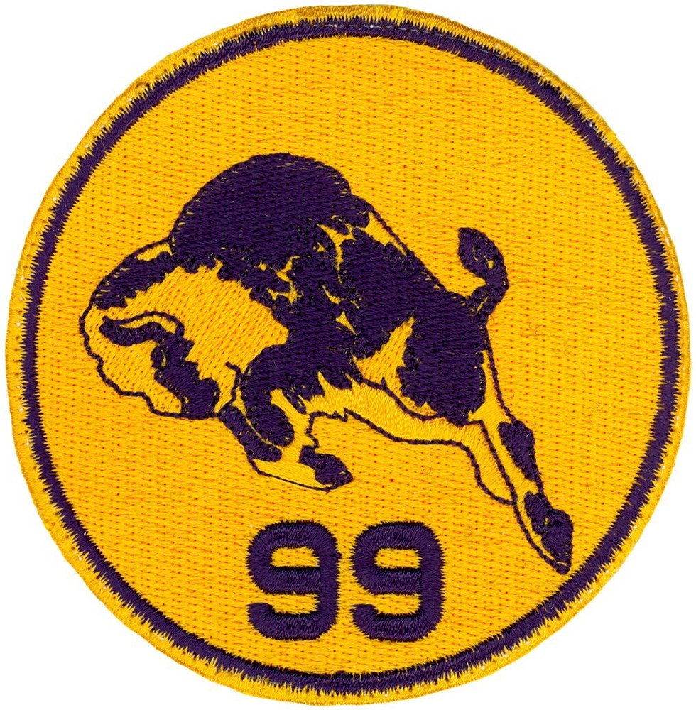 USAF 99th RECONNAISSANCE SQUADRON PATCH - HERITAGE