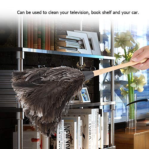 Duster with Wood Handle, Multi-Purpose, Eco-Friendly, Washable, Black
