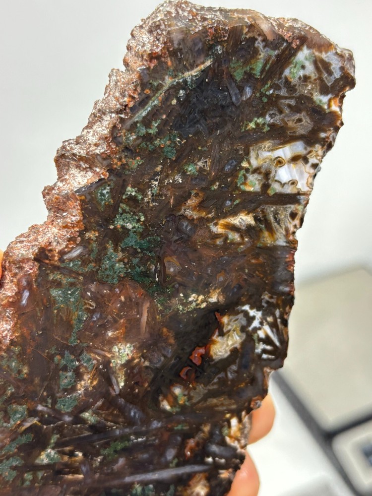 Turkish Stick Agate slab Cabbing Lapidary Collecting Combo Ship aval