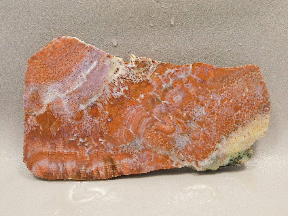 Red Agate Pseudomorph Stone Slab Lapidary Rough Rock #O1
