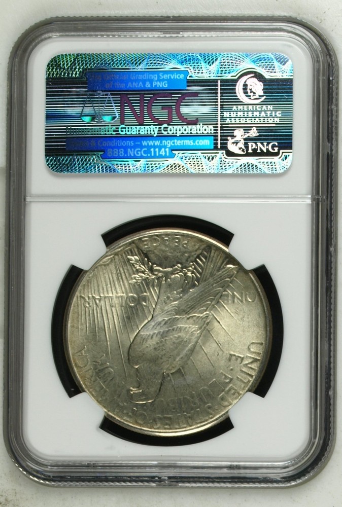 1925 Peace Dollar NGC MS 65 - Impeccable Gem Specimen!