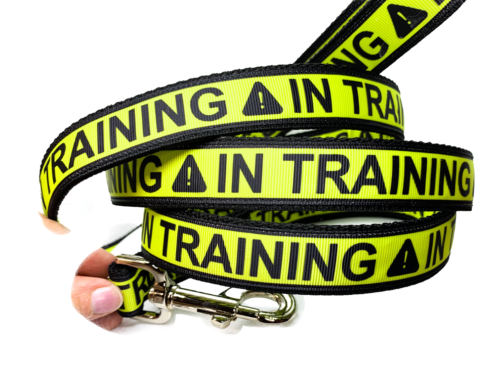 IN TRAINING leash, choose your length dog training leash