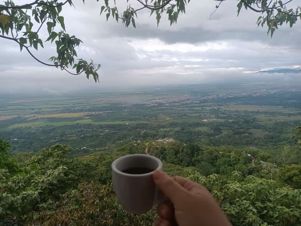 Cafeteros Coffee 100% Colombian