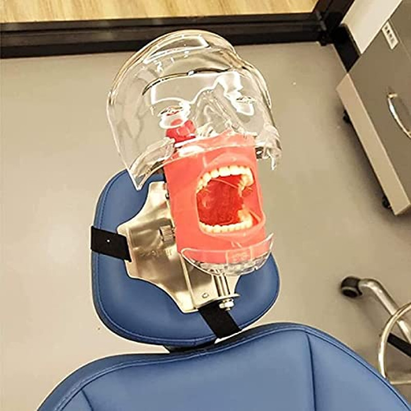 USA - Dental Simulator Mannequin Head Teeth Model Teaching Practicing Head Mold