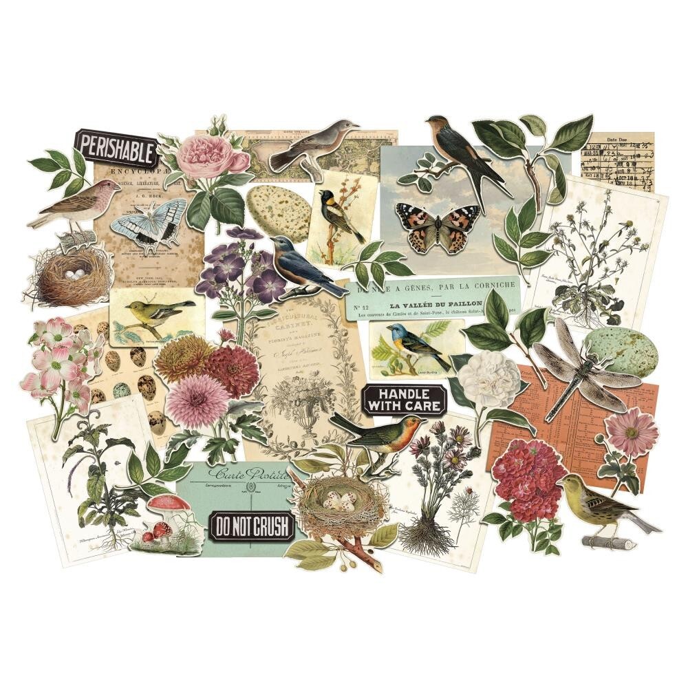 Tim Holtz ~ LAYERS ~ Organic ~ Idea-ology