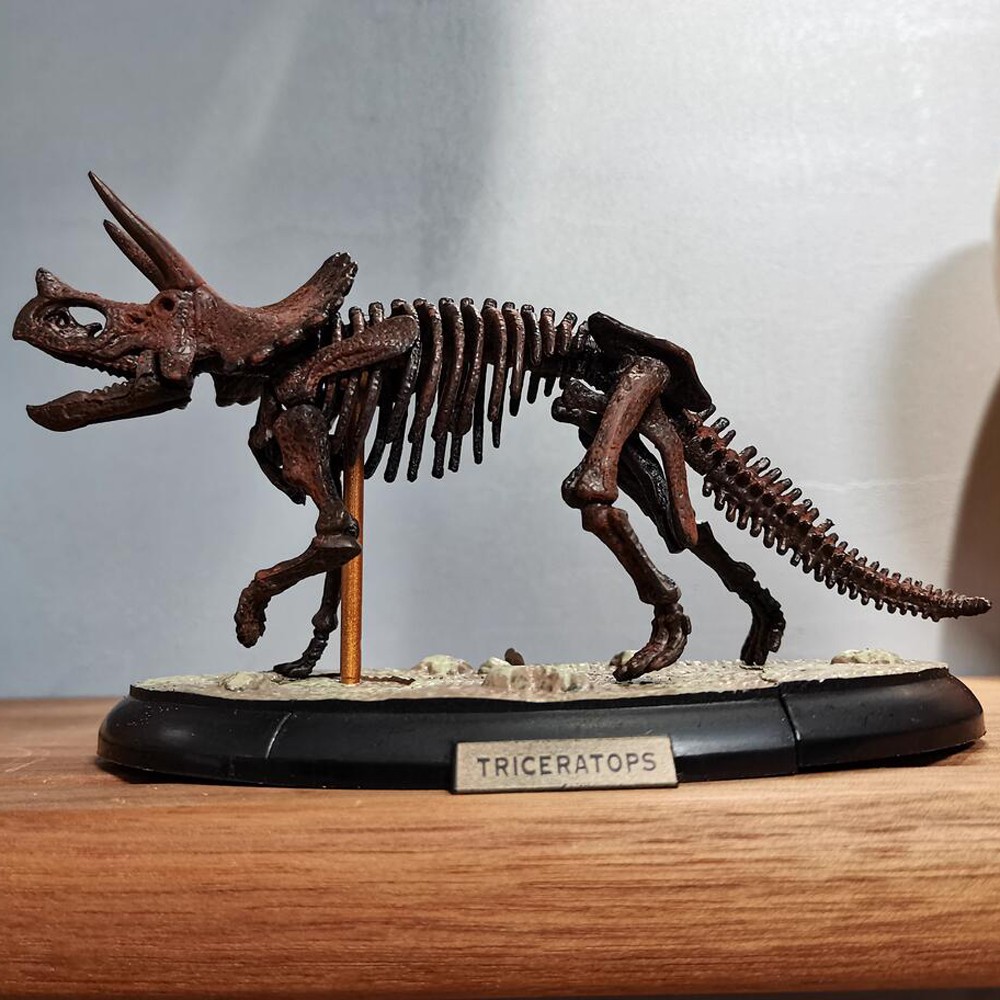 Triceratops Skeleton Model Dinosaur Model Statue Display Animal Model