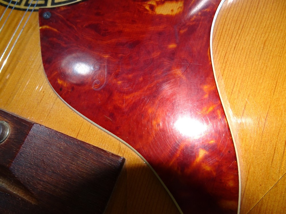 70's HOYER 12 STRING ACOUSTIC - made in GERMANY