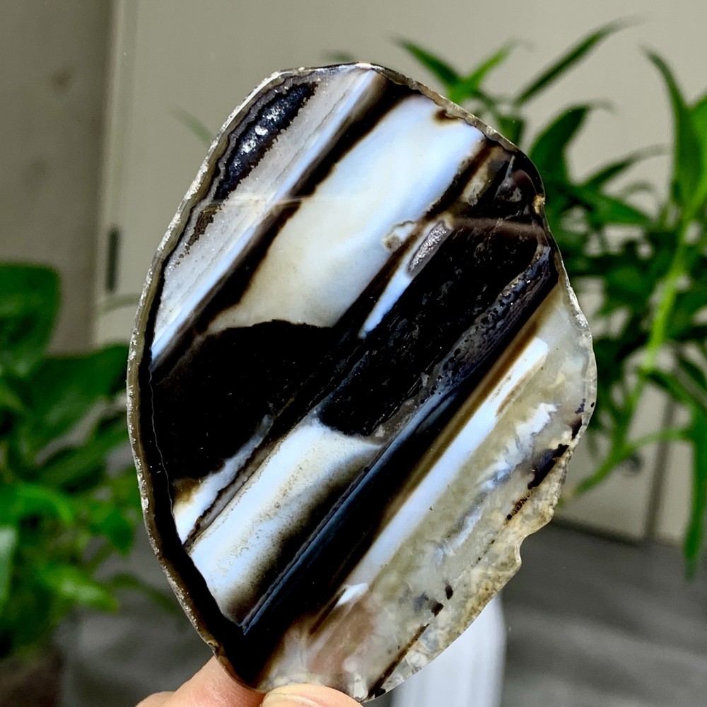 44G Natural Beautiful Agate Geode Druzy Slice Extra Large Gemstone