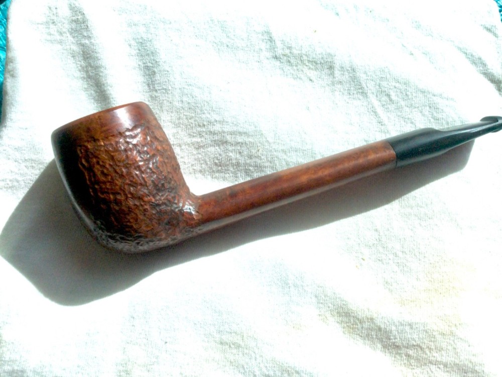 Large Canadian  sanded ,and stained.