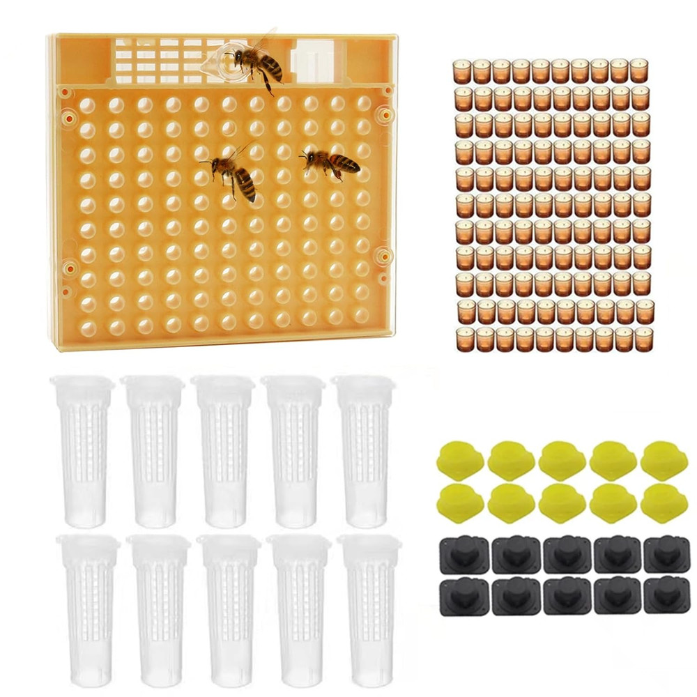 Queen bee Rearing Kit System Nicot bee Cell Cups Bee Laying Breeding Set Apicult