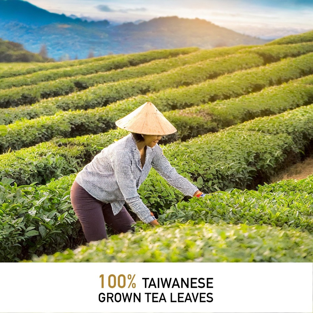 Leafmessage Tea - Formosa Oolong Loose Leaf Artisan Tea 福爾摩沙烏龍 フォルモサ ウーロン 100g