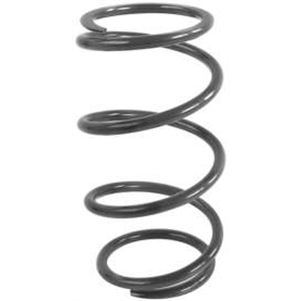 EPI Clutch Spring PEBS29