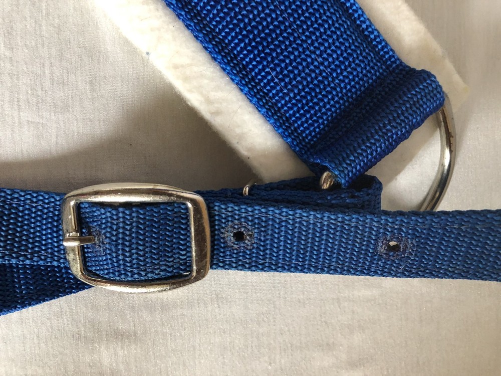Fabtron Sky Blue Nylon Web Felt-Lined Comfort Breast Collar