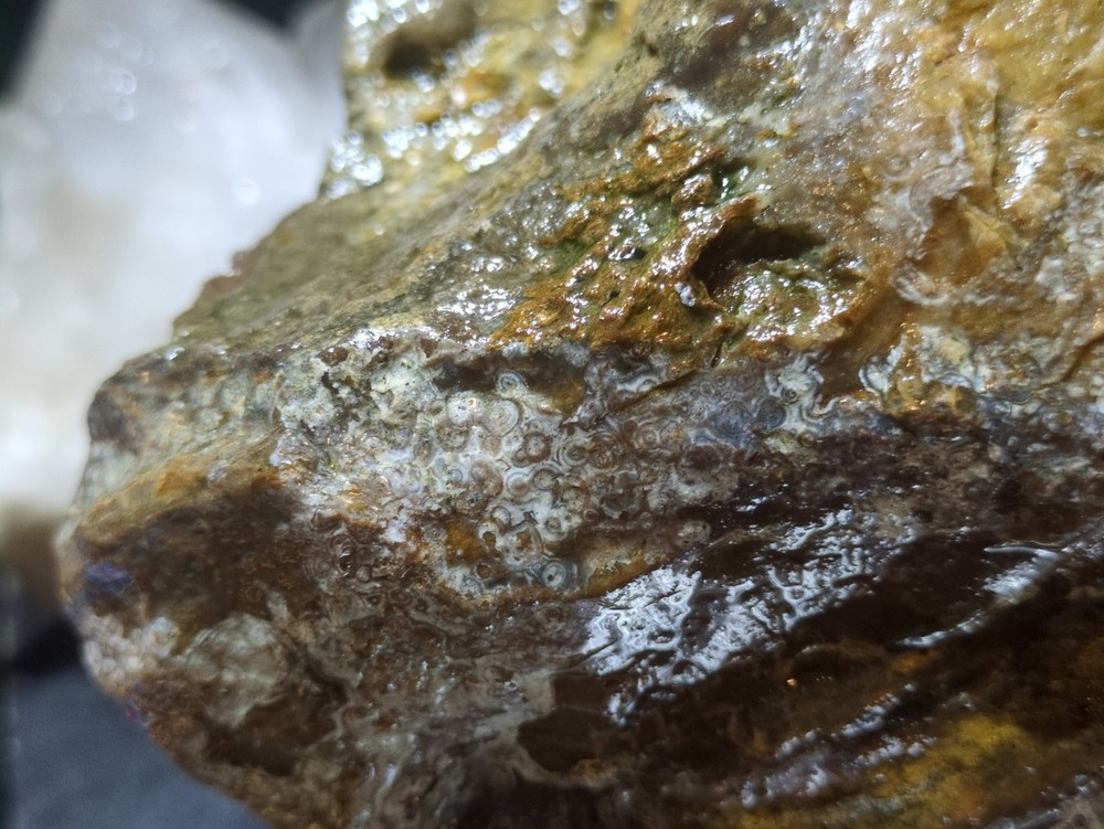 Biggs Jasper Specimen w/ Dendric Natural Form (7lbs 12oz)