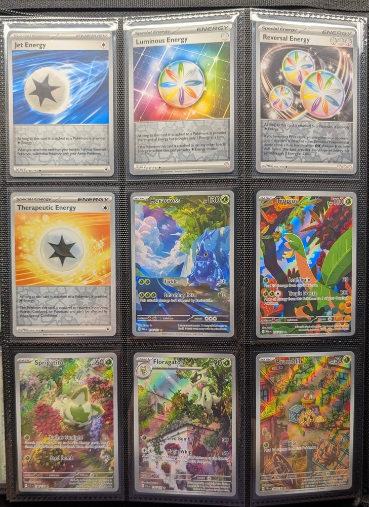 Pokémon Paldea Evolved Master Set