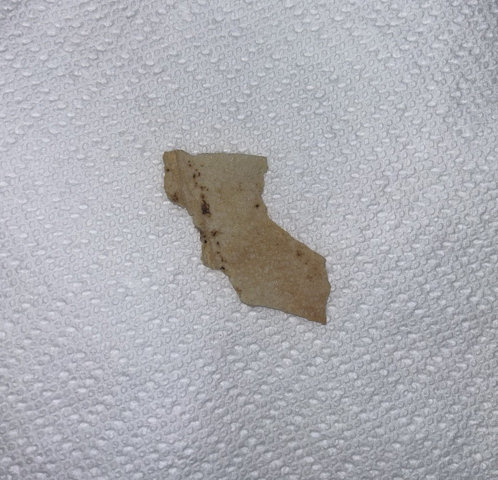 California Shaped Pita Chip