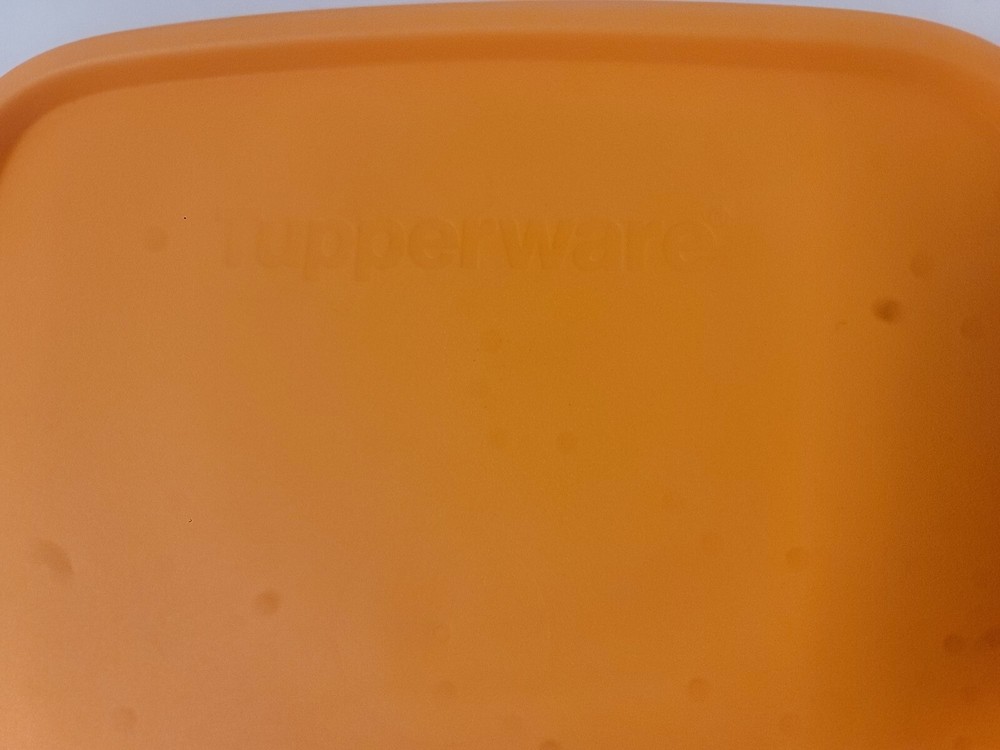 NEW Tupperware Lunch Container Divided Orange