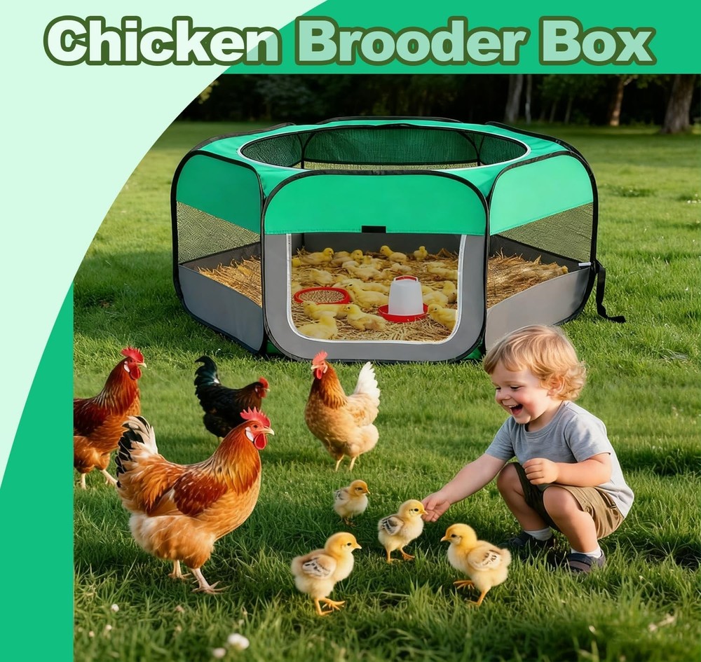 Pop Up Chicken Brooder Starter Kit - Easy to Assemble, Portable & Easy to