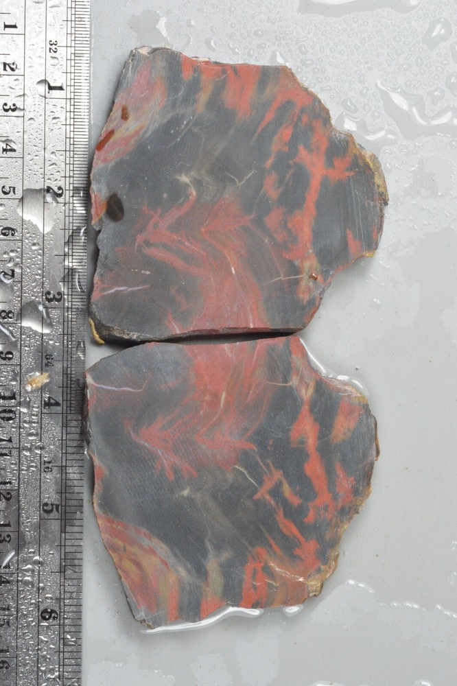 Petrified Wood, Circle Cliffs, Utah, 135 grams