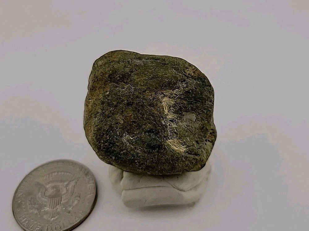 Real Permineralized Dinosaur Half Egg Embro Uv Reactive