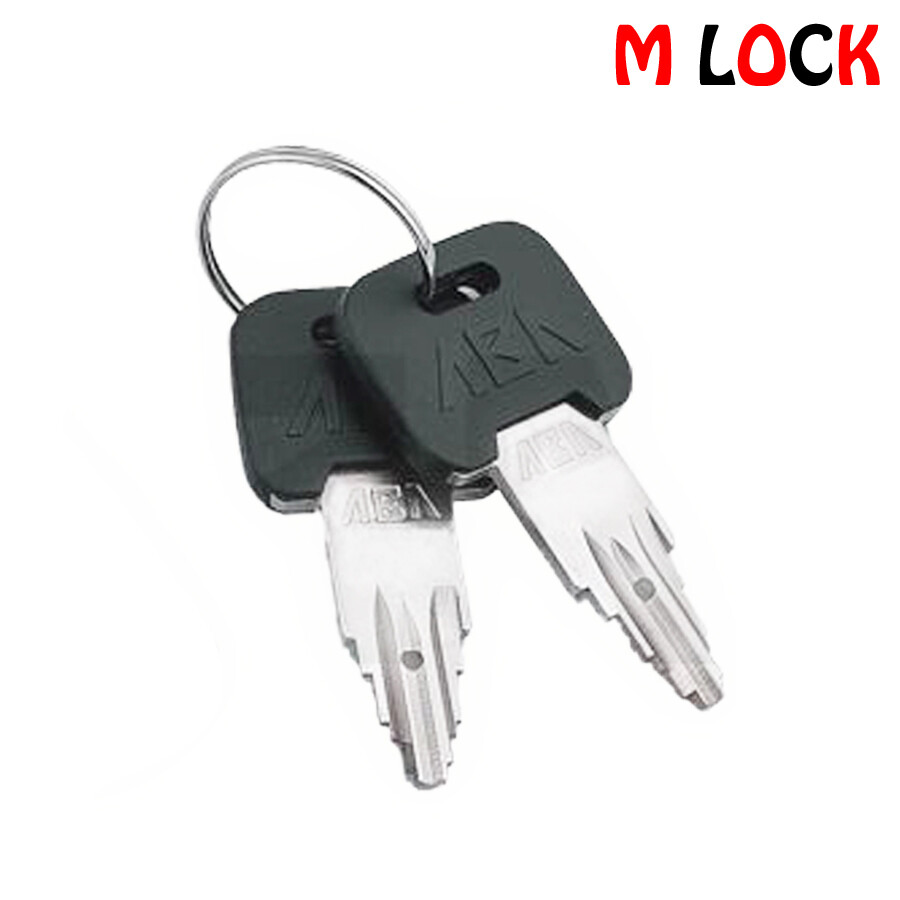 Pagoda Key 2 pcs key code A2029 for T handle Vending Machine