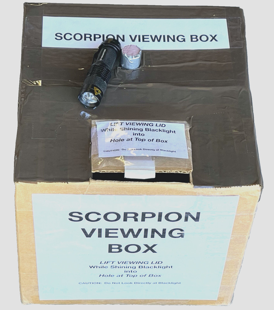 SEE FLUORESCING SCORPIONS in a SPECIAL VIEWING BOX - Includes BLACKLIGHT L@@K!