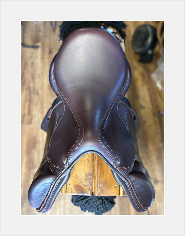 Arion C2 Event jump saddle. 17” MW