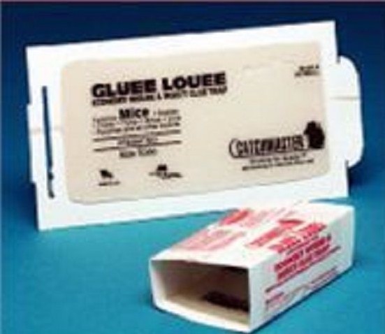 24 Catchmaster Gluee Louee Mice  glueboards , 150MBGL , Mouse Traps