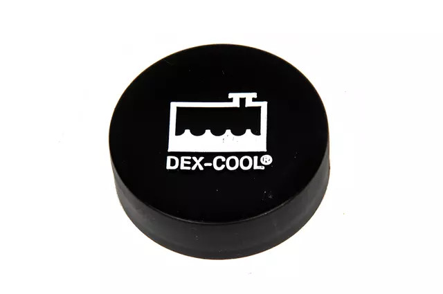 Genuine GM Cap 85604317