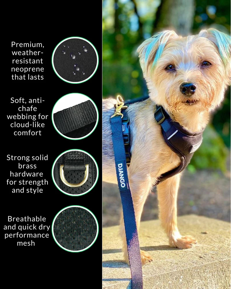 NWT Django Adventure Dog Harness