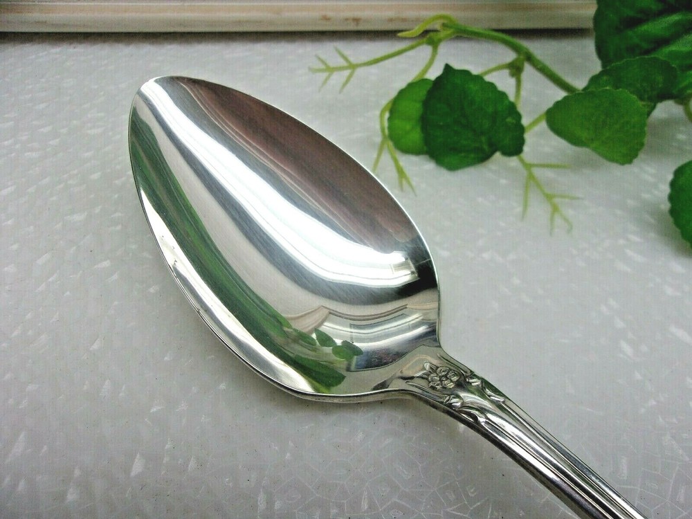 Oneida Wm A Rogers Francesca VANESSA Silverplate Solid Serving Spoon 1965