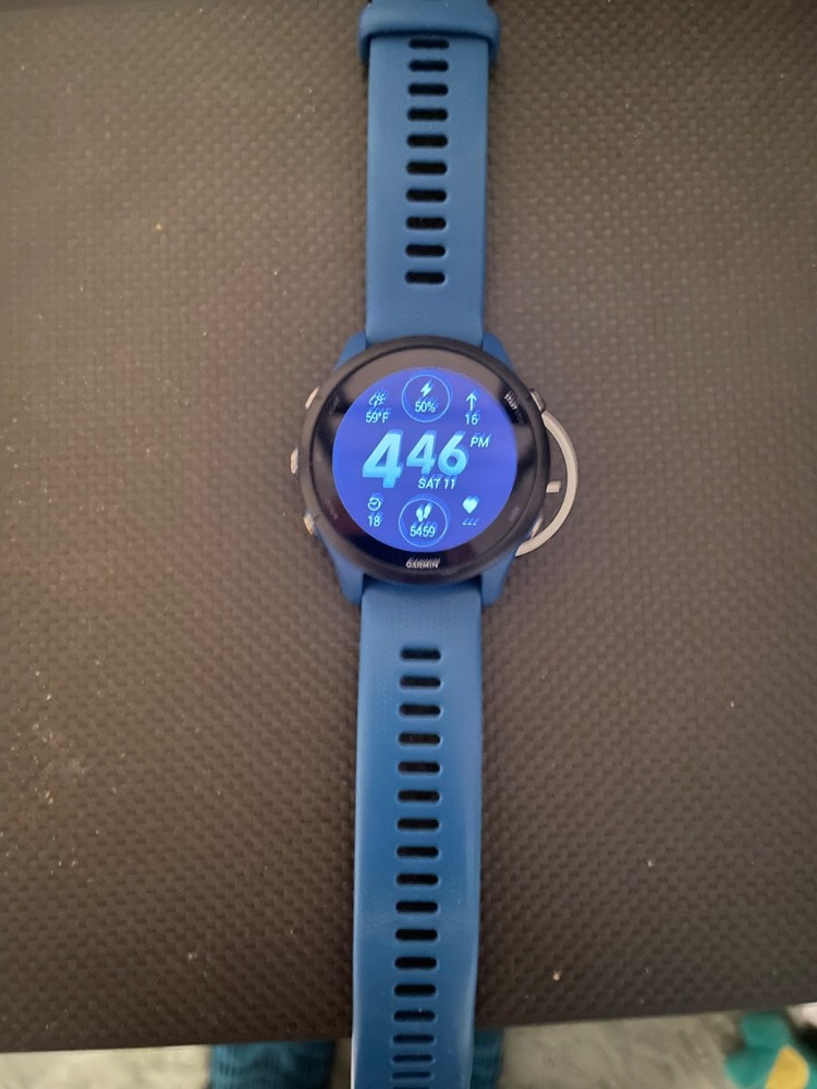 Garmin Forerunner 255 GPS Watch - Tidal Blue
