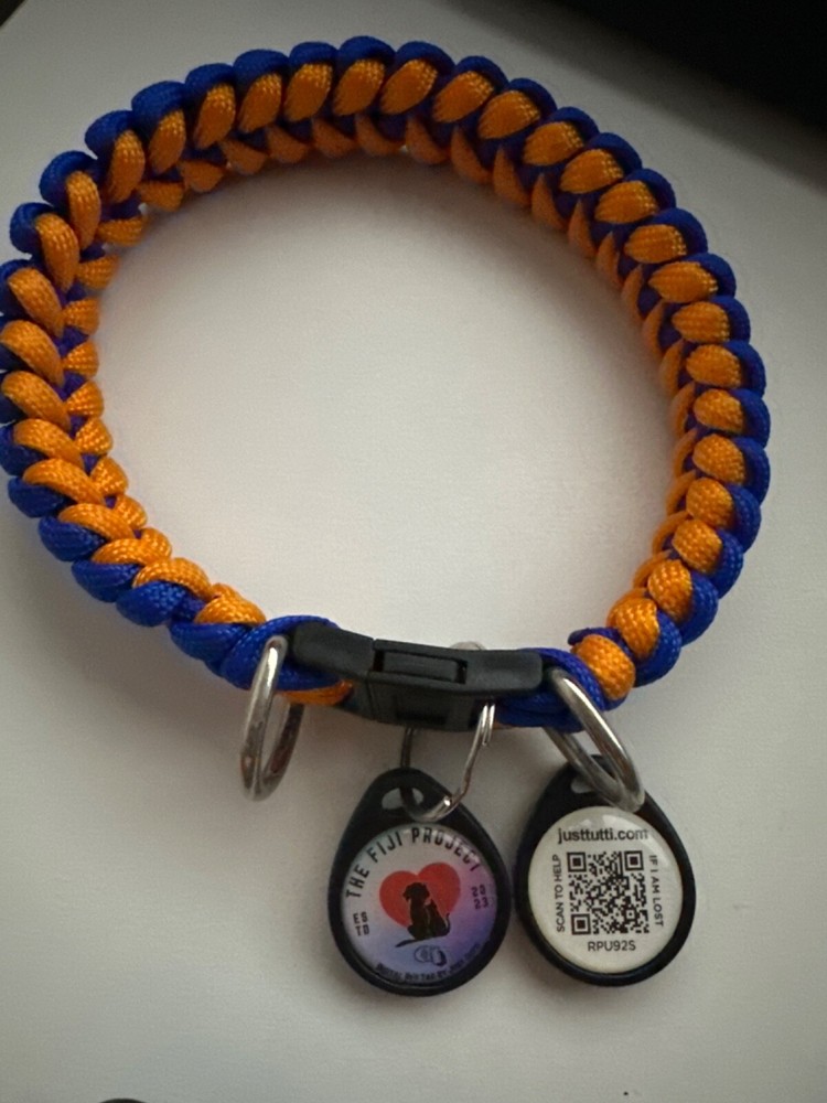 pet id tags small dog