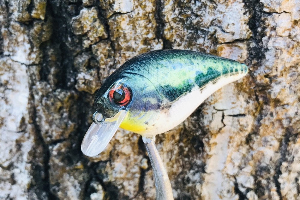 SPEEDBAITS Custom Airbrushed Crankbait
