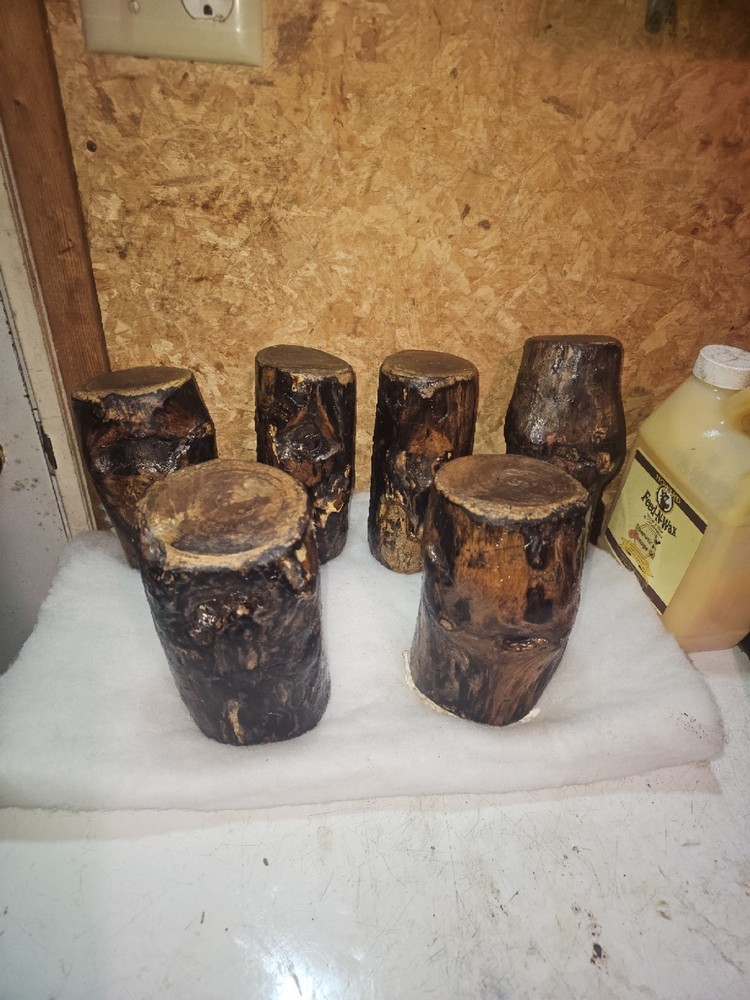 White Ash Trunk Eye Scars