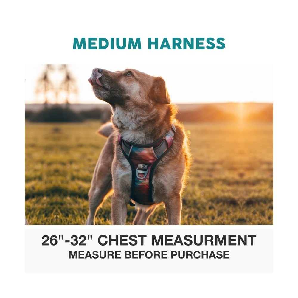 Embark Adventure No Pull Dog Harness, Reflective Trim No Pull Harne... Fast Ship