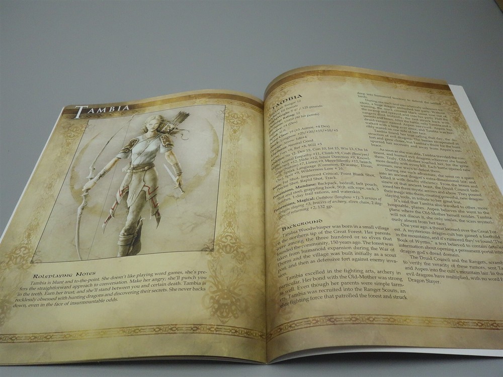 Legends Collection: Allies and Adversaries (d20 System)